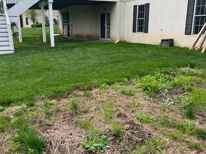 Residential hardscape creation with under deck and subsurface drainage renovation, landscape creation and low voltage lighting addition project in Jamison, PA